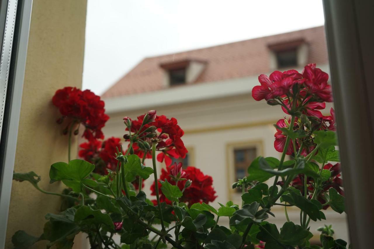 Crown Of Karolina Apartment Brasov Exterior photo